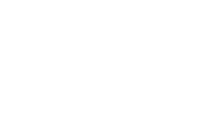 Transat - Cliente Publicidade e Propganda Pixograma